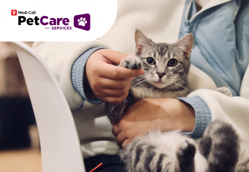 mengatasi kucing cacingan Pet-Care