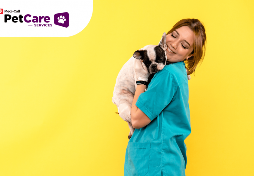 cara menjadi dokter hewan Pet-Care