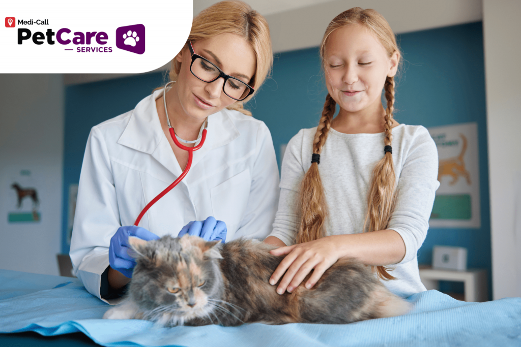dokter hewan terdekat Pet-Care