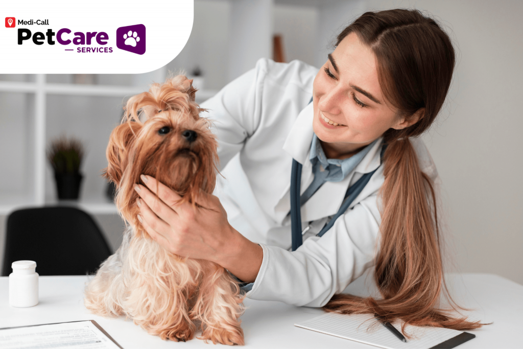keahlian dokter hewan Pet-Care
