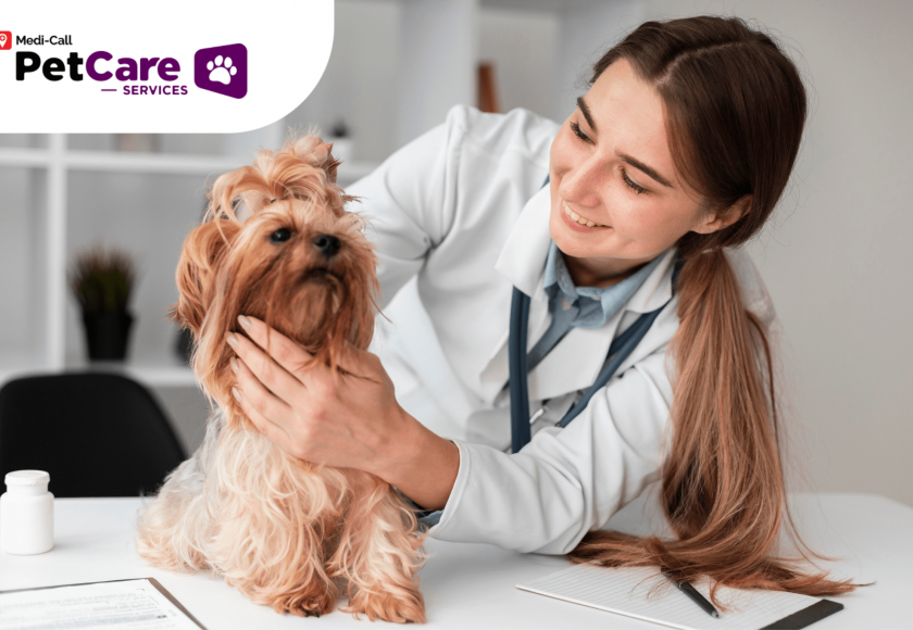 keahlian dokter hewan Pet-Care
