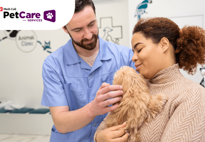 lowongan dokter hewan Pet-Care
