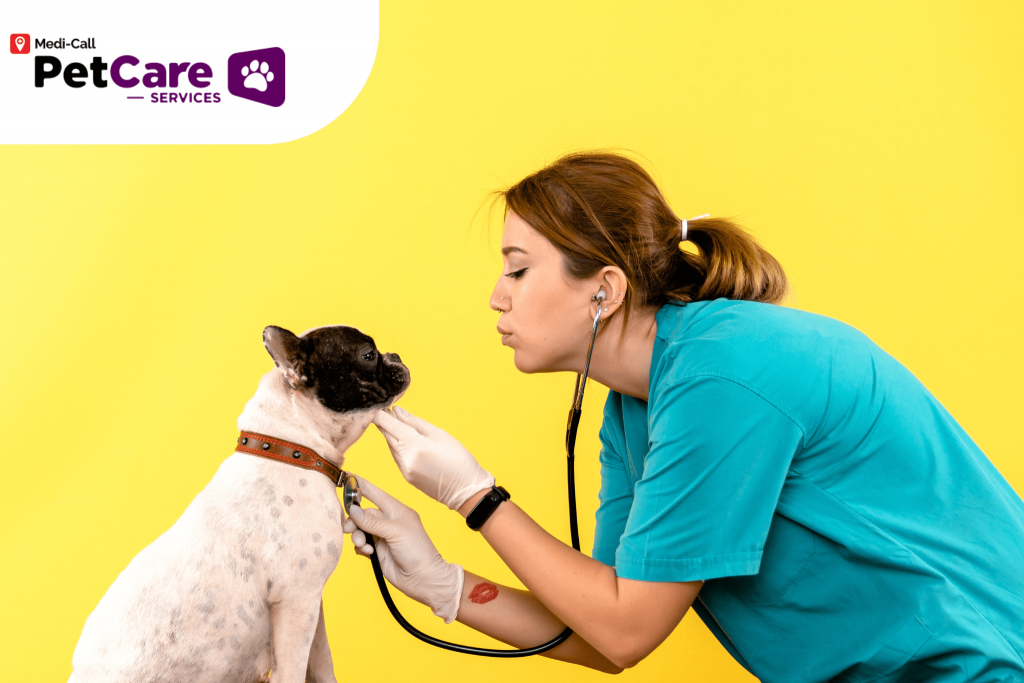 Dokter Hewan Pertama di Indonesia Pet-Care