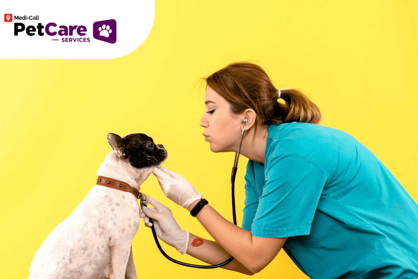 Dokter Hewan Pertama di Indonesia Pet-Care
