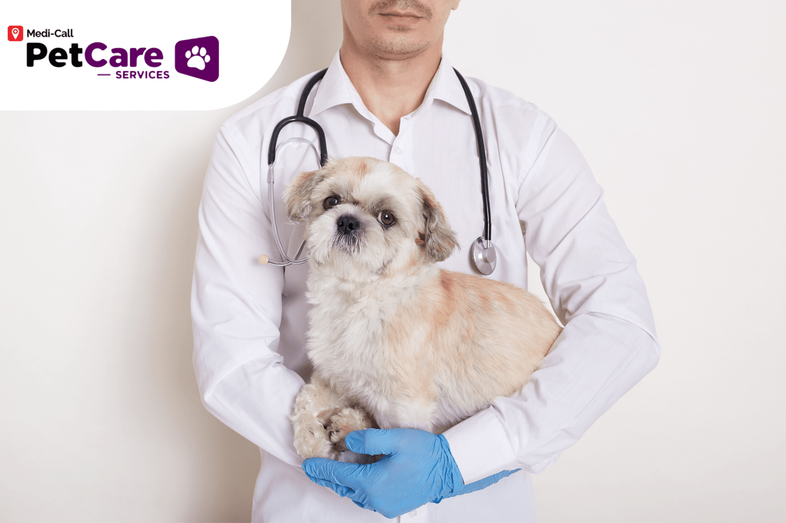 karir dokter hewan Pet-Care