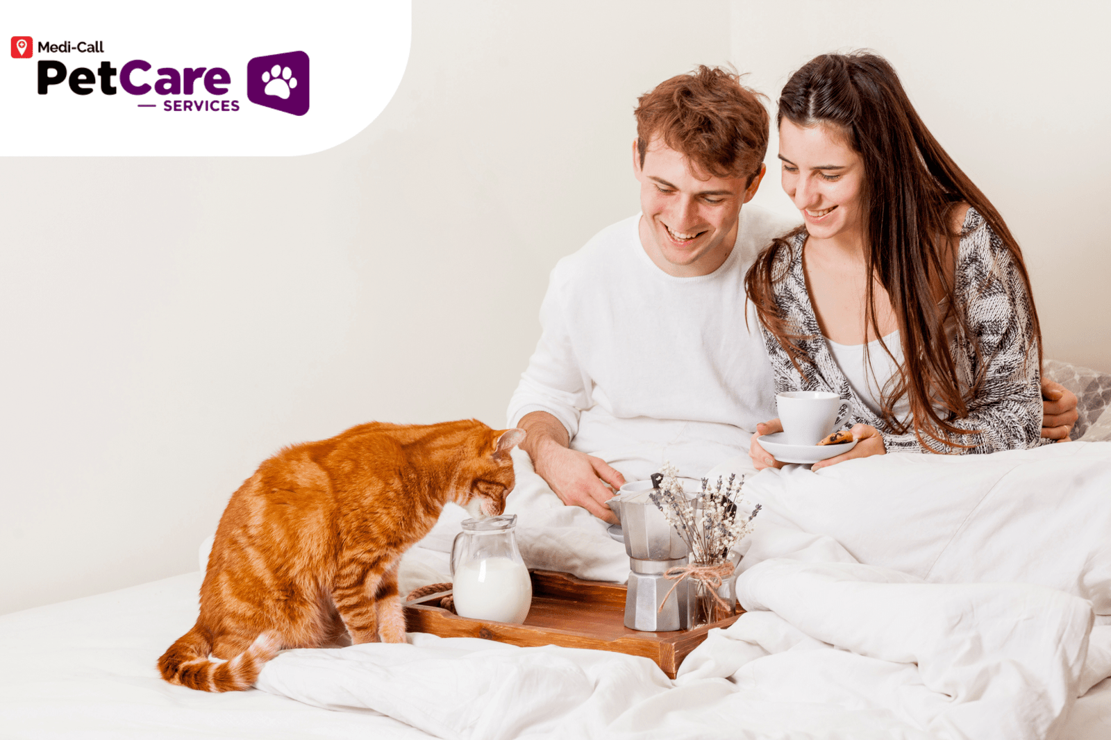 Kucing Alergi Susu Pet-Care