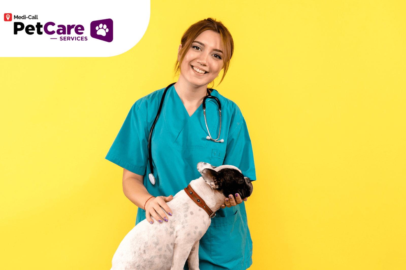 Dokter Hewan Surabaya, Berikut Fakta dan Layanan yang Anda Dapatkan