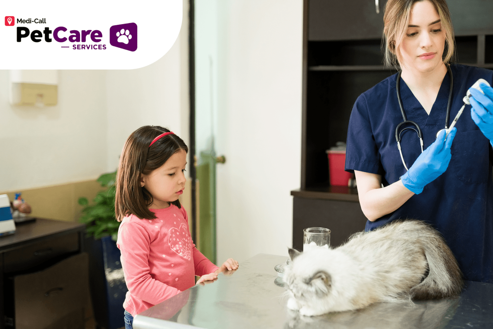 Vaksin Kucing Pet-Care