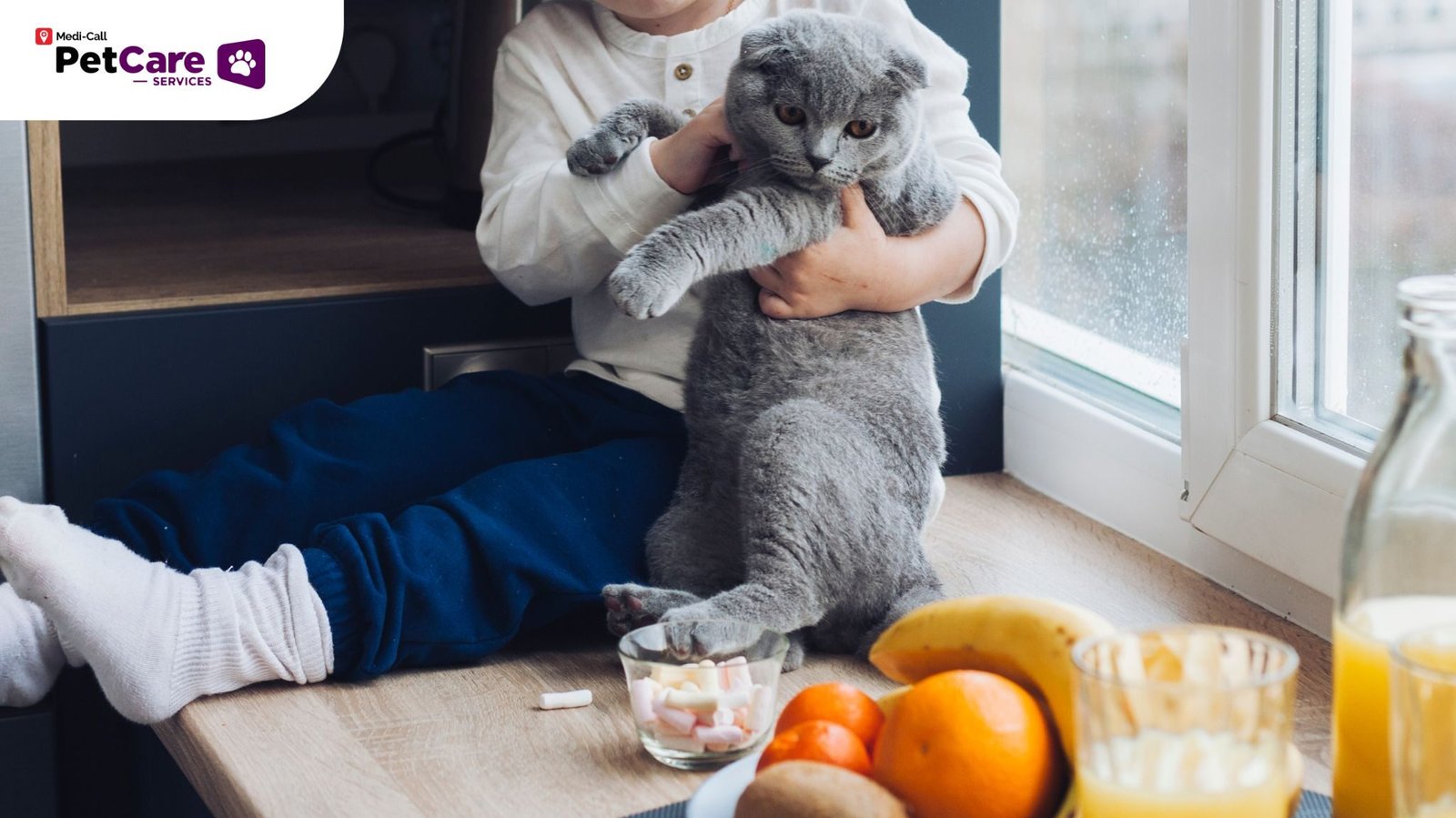 Anjing dan Kucing Makan Buah