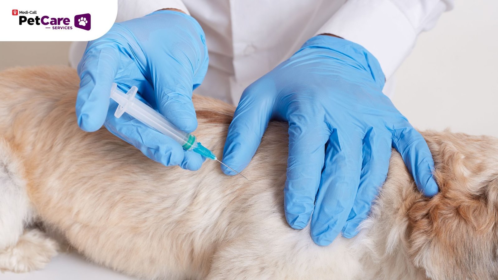 Vaksin Parainfluenza Anjing