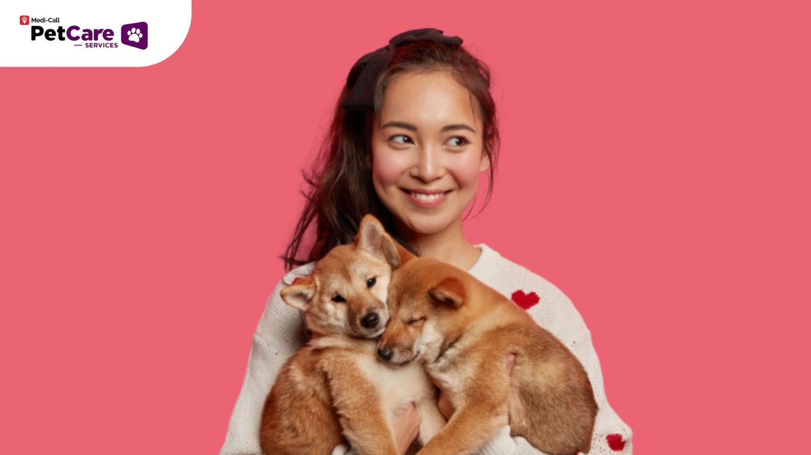 Hewan Peliharaan yang Mudah Dirawat Pet-Care.id