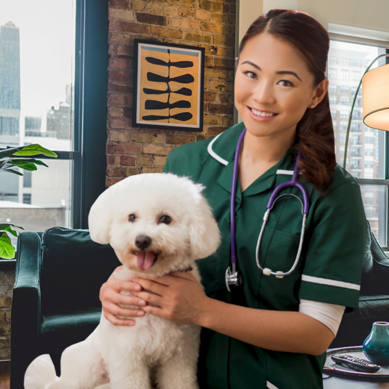 Dokter Hewan Terdekat