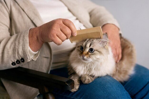 owner-brushing-cute-cat-side-view_23-2150139681 (1)