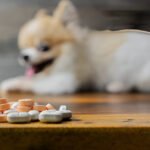 steptodown.com594238